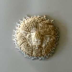 DP41_Wild_White Dream Pillow